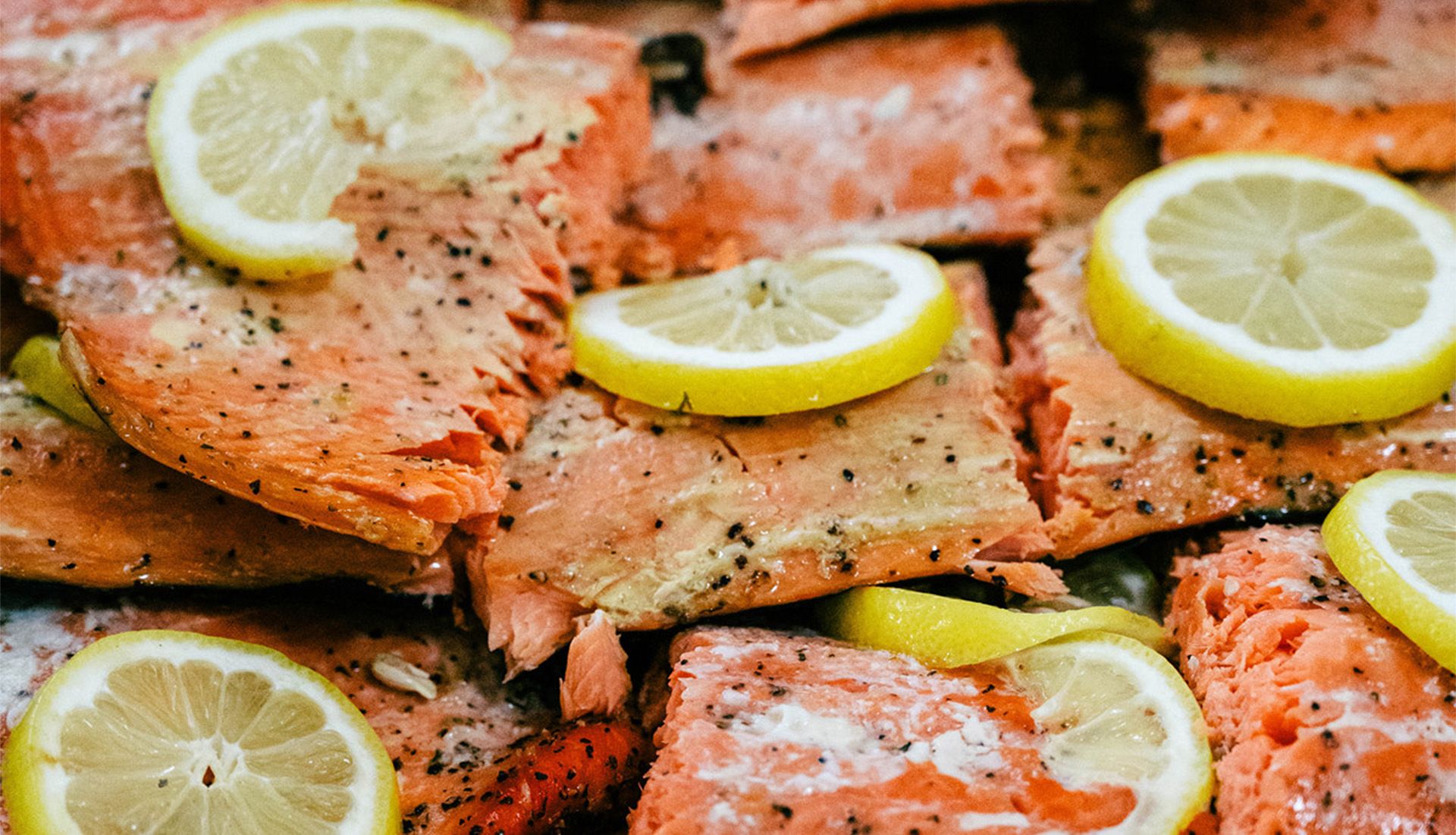 SALMON